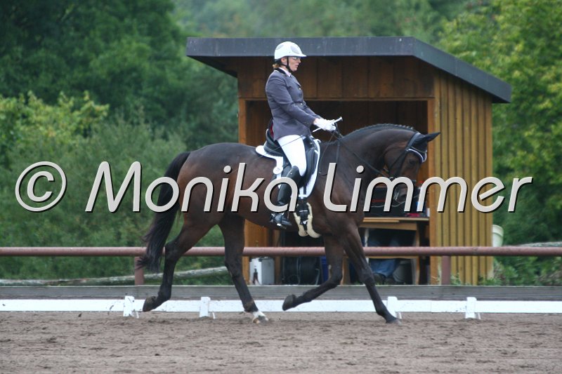 009M8439_Jack Sparrow_Dressurpf A.JPG